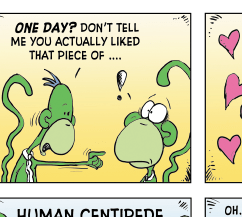 greenmonkeys