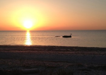 Mattituck Guest Essay sunset