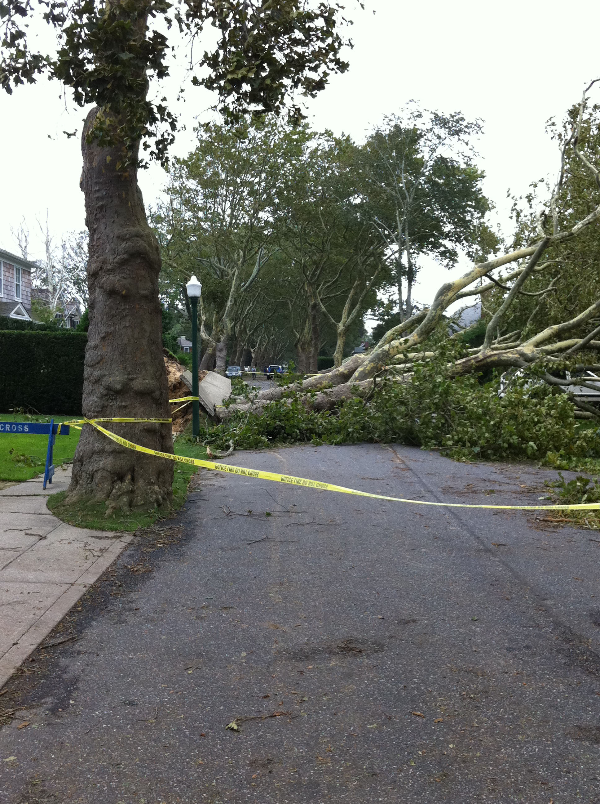 Mill Hill Lane, East Hampton