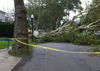 Mill Hill Lane, East Hampton