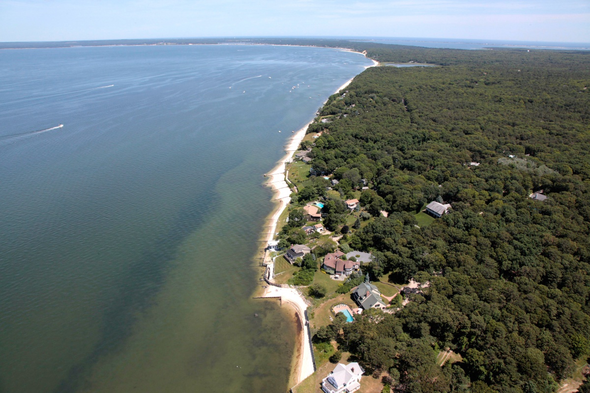 Hampton Bays. Photo credit: Cully/EEFAS