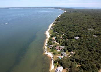 Hampton Bays. Photo credit: Cully/EEFAS