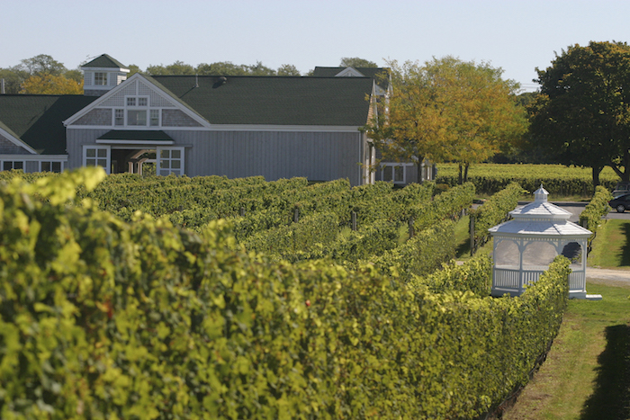 Vineyard and barn in Long Island