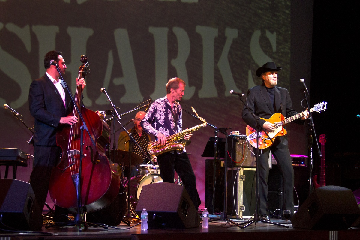 Gene Casey and the Lone Sharks.