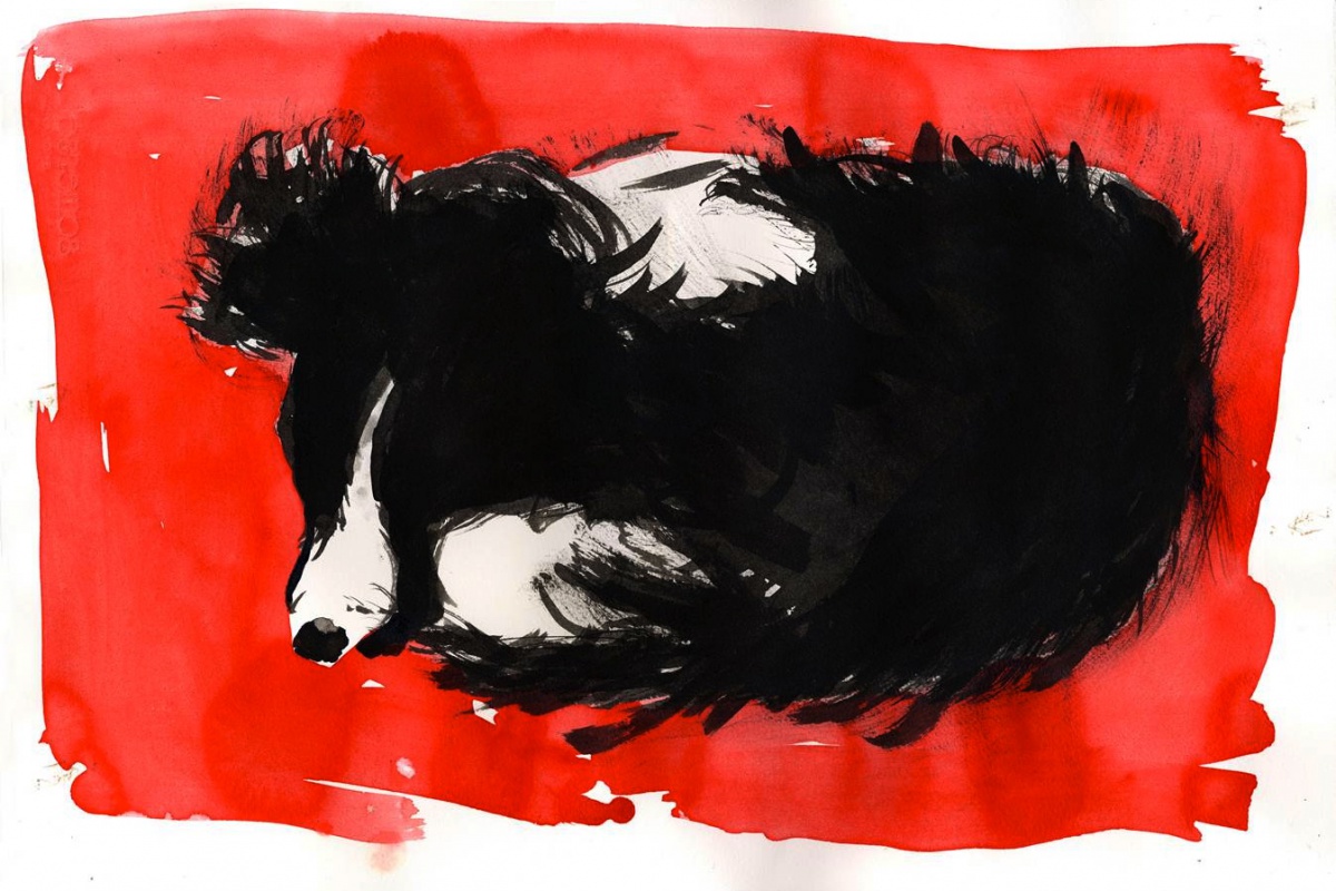 2014 ARF Pet Calendar by Malcolm Morley.