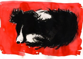 2014 ARF Pet Calendar by Malcolm Morley.