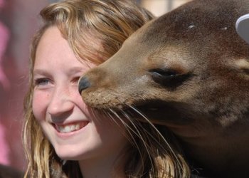 mw-sea-lion-1jpg-728bbadcf3a3922c_large