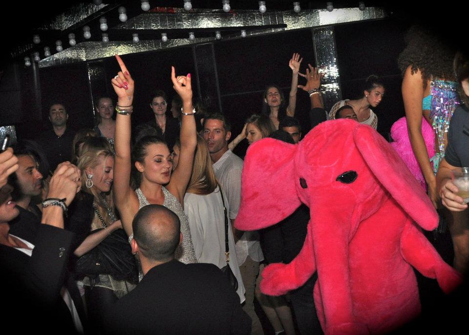 Pink Elephant