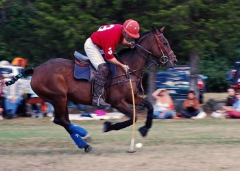 polo