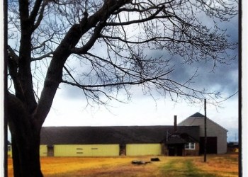 The Best of #NorthFork Instagram.