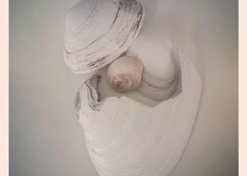 instagram.com/enelmarmar