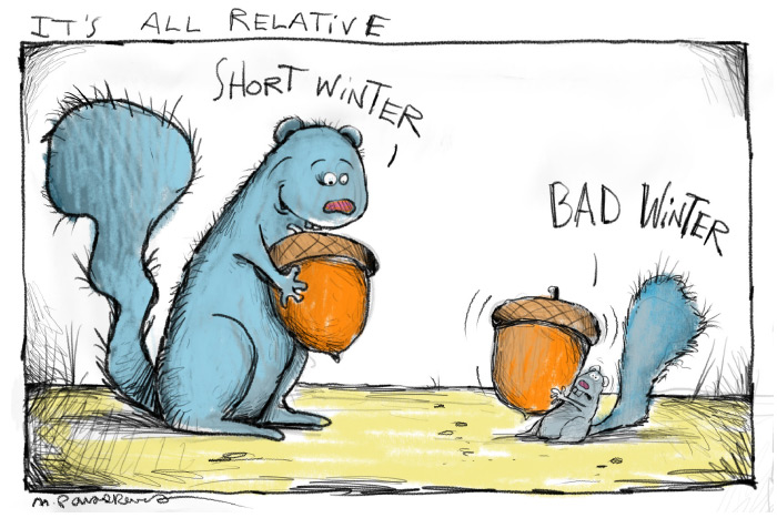 Squirrel Cartoon by Mickey Paraskevas