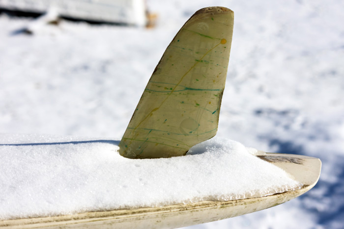 surfboard in the snow