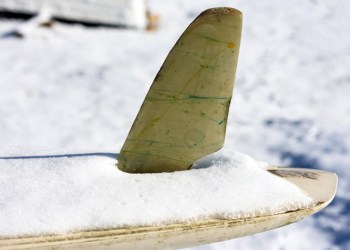 surfboard in the snow