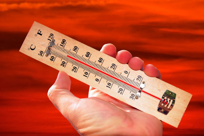 thermometer