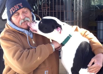 Veteran Mike Sergeant with Cookie at the Kent Animal Shelter