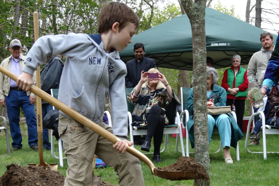 William P. Mulvihill, 11, known as Liam, helping to plant a new native cherry tree.