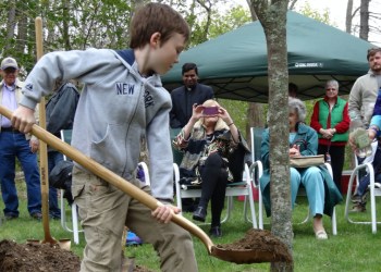 William P. Mulvihill, 11, known as Liam, helping to plant a new native cherry tree.
