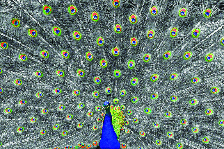 This phenomenal work by David Micelotta is just one example of the talent on display at the Art Show on the Green