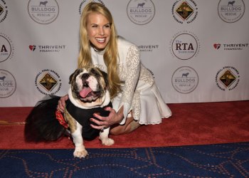 Beth Stern with Josie the English Bulldog at the L.I. Bulldog Rescue's Bash for the Bulldogs fundraiser.
