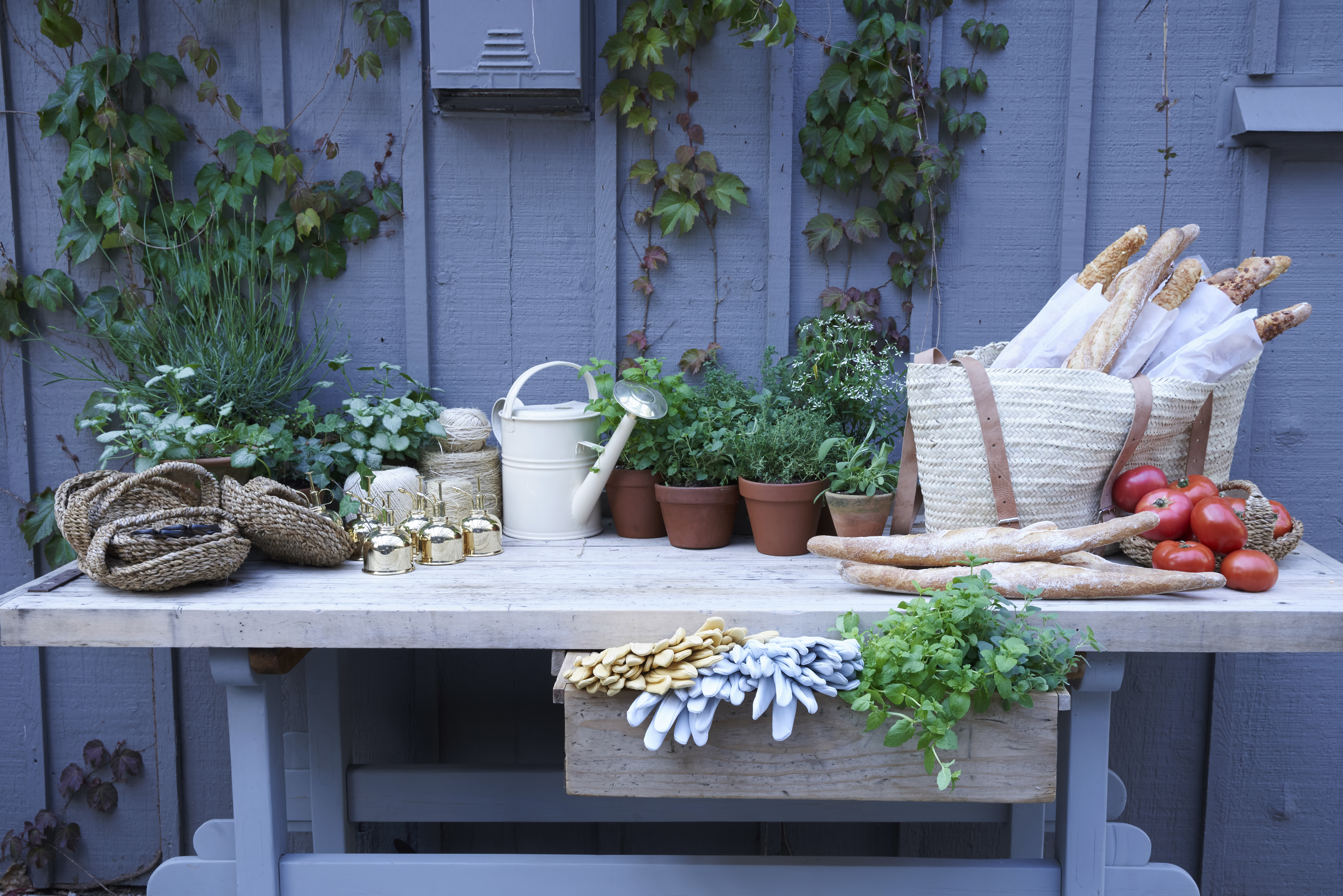 goop in Sag Harbor, Photo: Courtesy goop