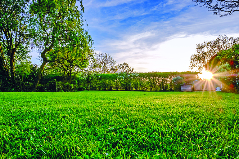 Majestic sunset seen in late spring, showing a recently cut and well maintained large lawn in a rural location. The sun can be seen setting below a distant hedge, producing a sunburst effect.