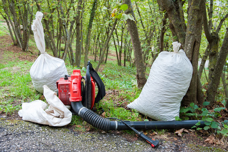 Leaf blower and bags of leaves