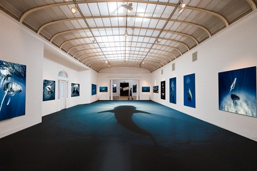 "Light on Shadow" at Southampton Arts Center 