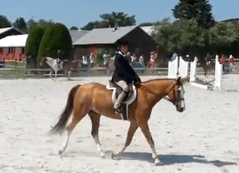 The Sagaponack Horse Show
