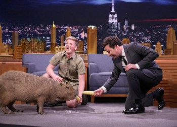 Robert Irwin introduces Jimmy Fallon to a capybara on the Tonight Show stage