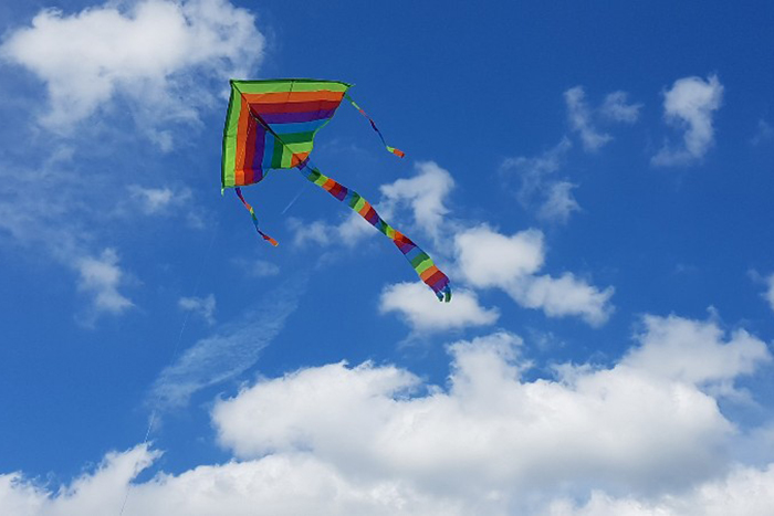 kids event highlights kite building with the South Fork Natural History Museum