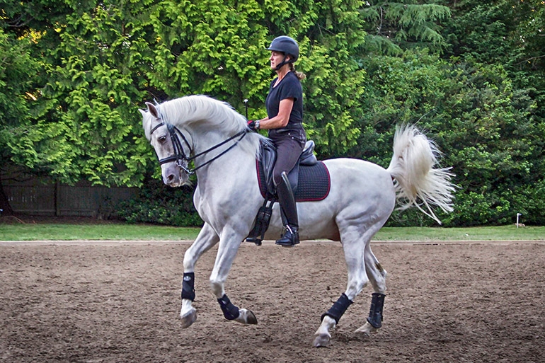 Dressage at Stony Hill Stables, Courtesy Stony Hill Stables Foundation