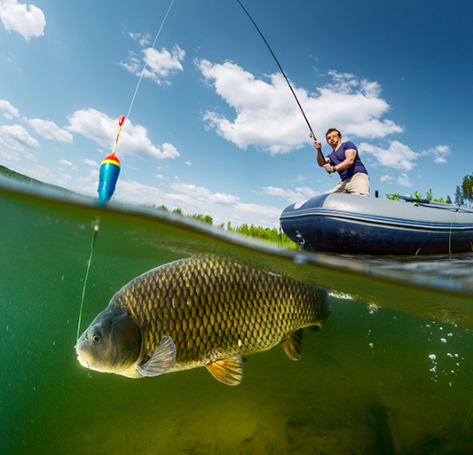 The Mattituck Madness Fishing Tournament is all about that bass, Photo: Mihtiander/123RF
