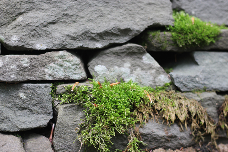 Cohen and Kutz appreciate the natural look