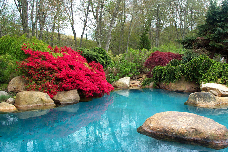 Richard Cohen and Jim Kutz rock pool