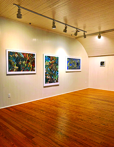 South Street Gallery, Photo: Courtesy South Street Gallery
