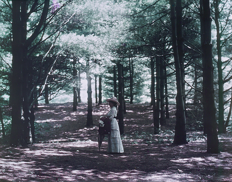 Cornelia Horsford, Sylvester Manor