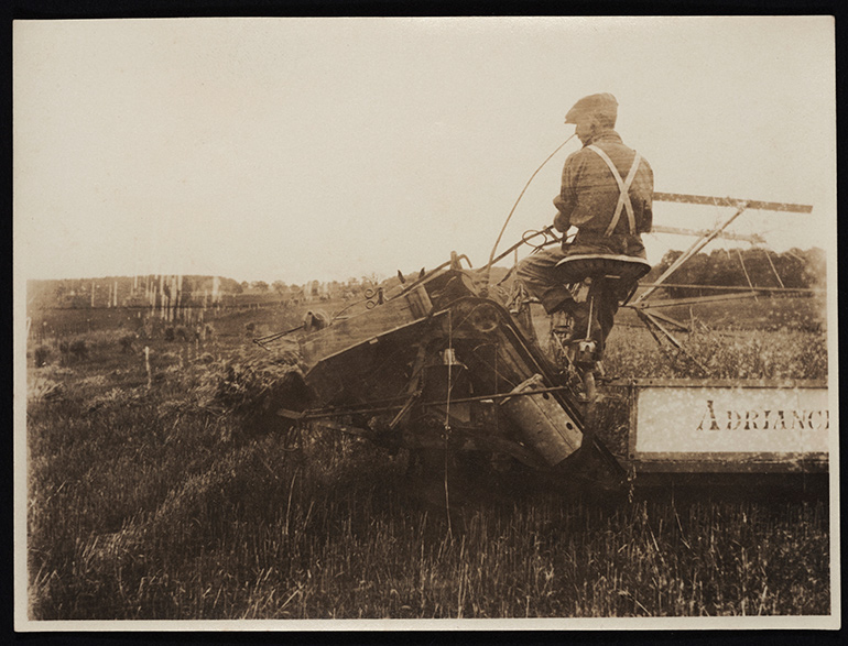Sylvester Manor farm worker