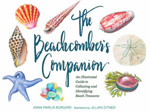 'The Beachcomber's Companion,' Photo: Courtesy Chronicle Books