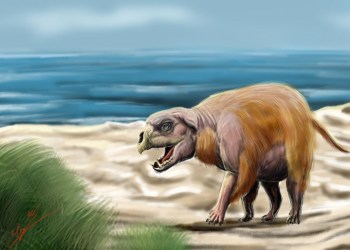 Montauk Monster illustration
