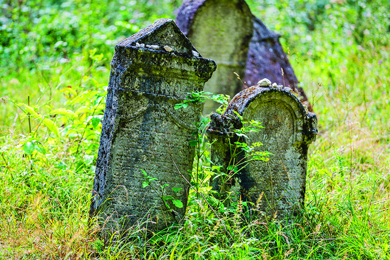 Honoring the dead can put life into perspective, Photo: Zdenek Kajzr/123RF