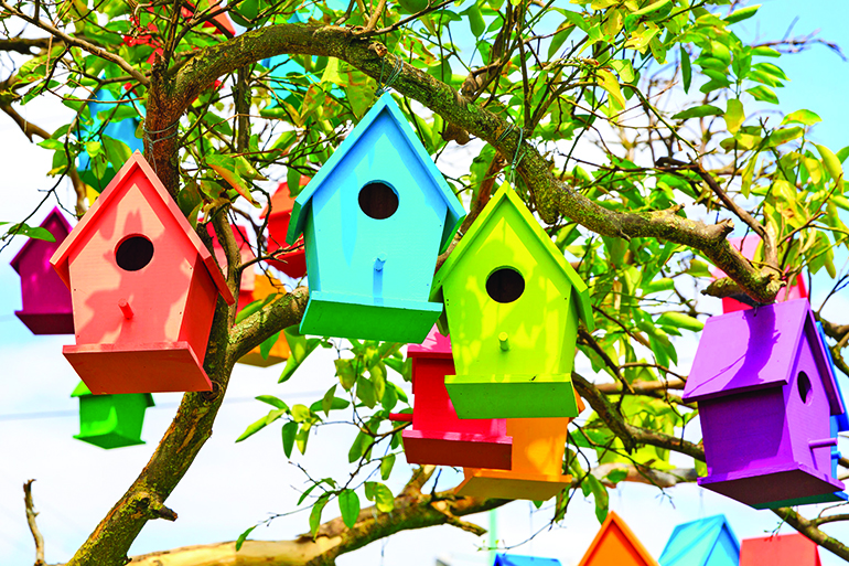 You think these birdhouses are cool? Wait to you see the ones up for auction, Photo: Vladimir Liverts/123RF