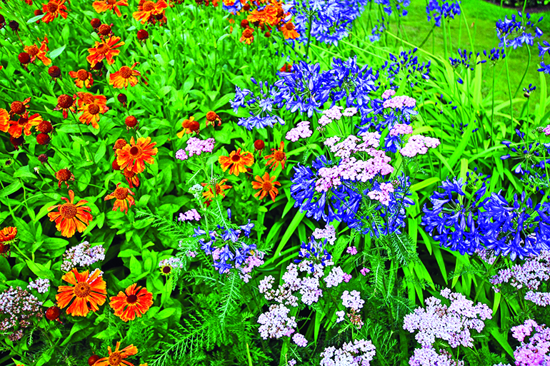 Westhampton is home to many a beautiful garden, Photo: Julietphotography/123RF