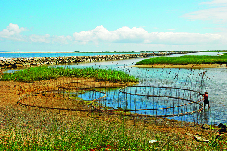 Art by Roy Staab, Photo: Courtesy Nature Conservancy
