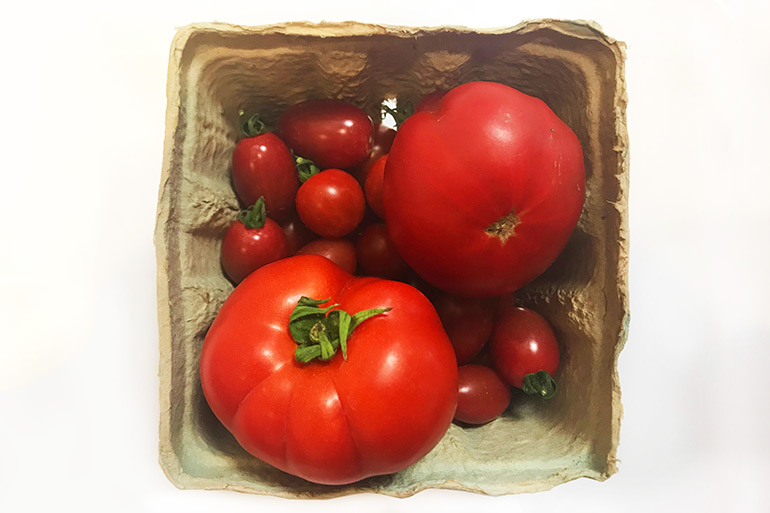 Tomatoes from Stacy Dermont's garden