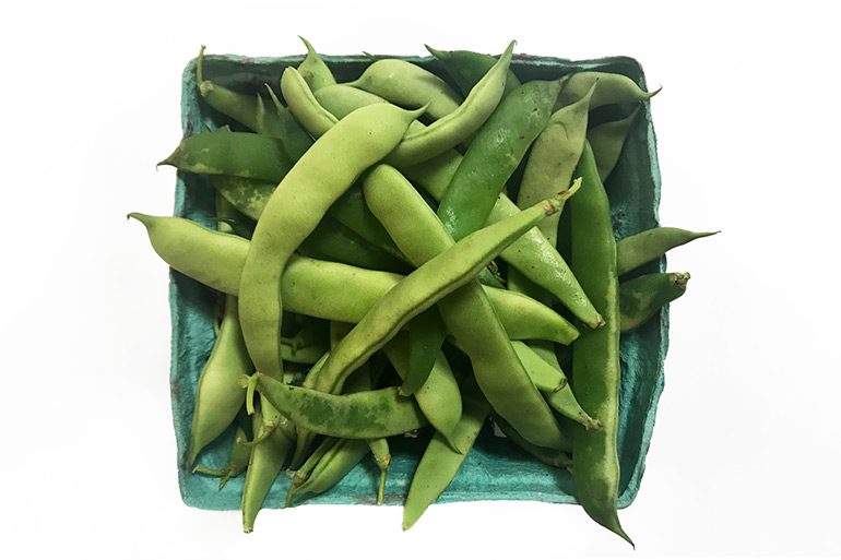 Peas from Stacy Dermont's garden