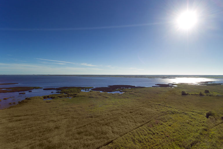 Building on tidal wetlands has many hurdles