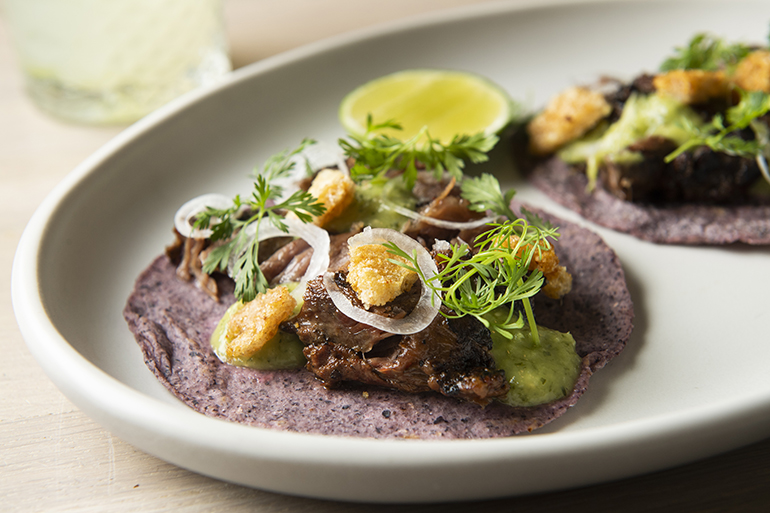 Oxomoco's Pork Cheek Carnitas Taco, Photo: Courtesy Oxomoco