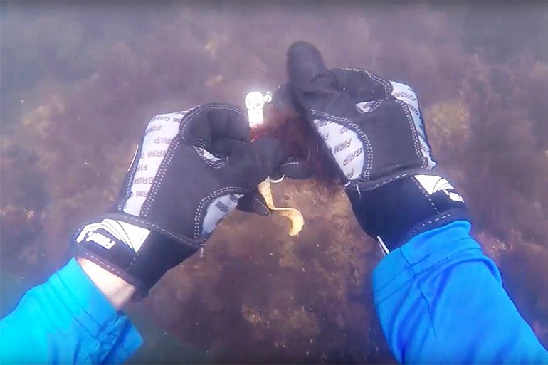 Hunting for lost fishing lures off Montauk