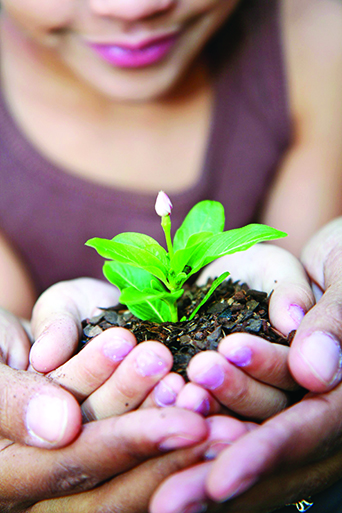 13139438 - girl with her mother holding a new flower